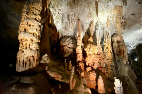 Desde Liubliana: excursión de un día a la cueva de Postojna