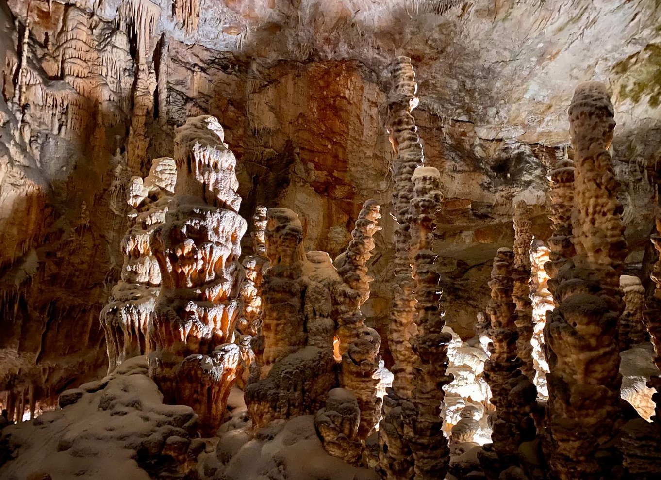 Fra Ljubljana: Postojna Cave Dagstur