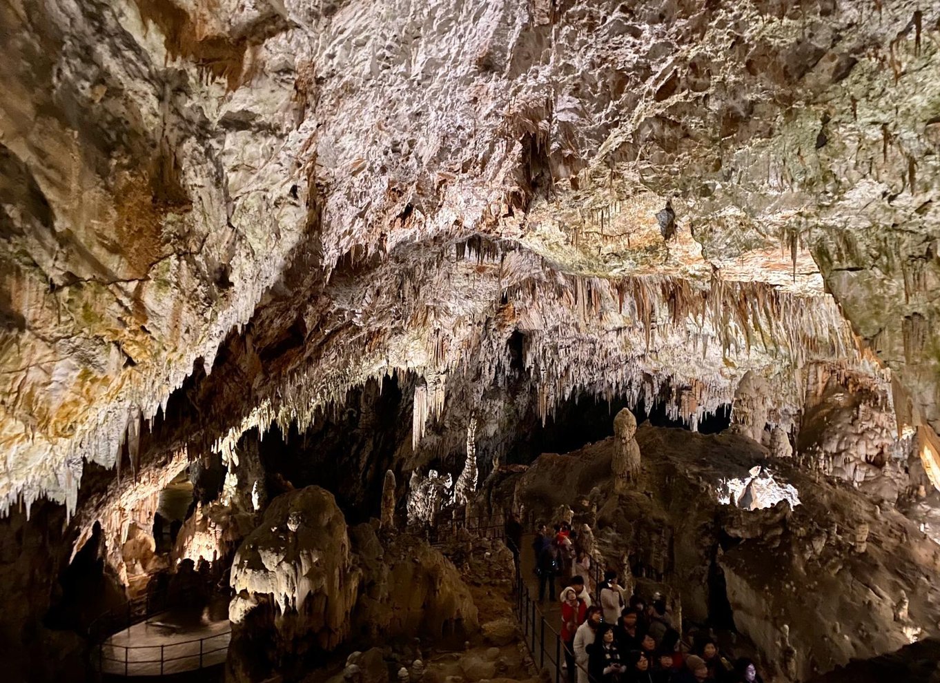 Fra Ljubljana: Postojna Cave Dagstur