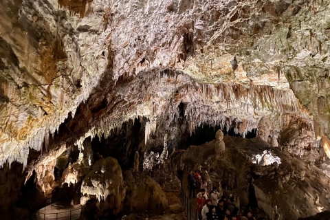 Van Ljubljana: dagtrip naar de grot van Postojna