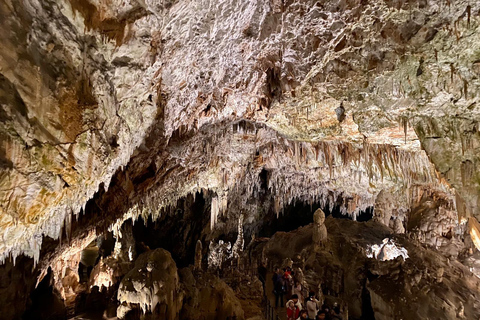 De Ljubljana: excursion d'une journée à la grotte de Postojna