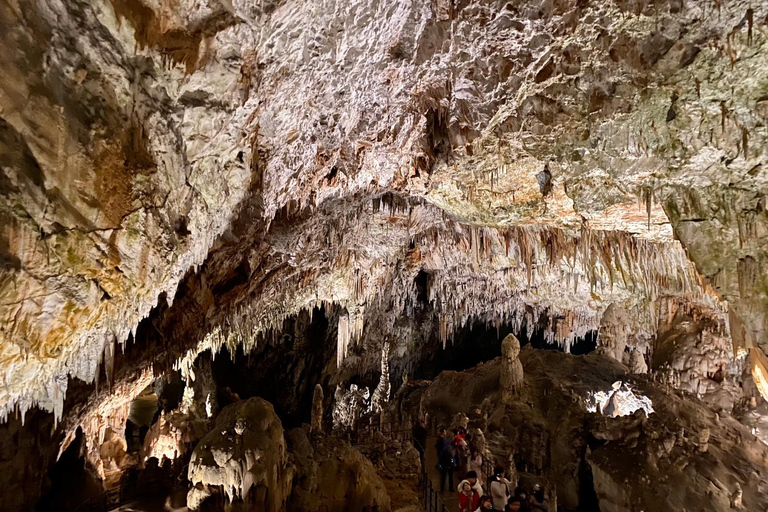 De Ljubljana: excursão de um dia à caverna de Postojna