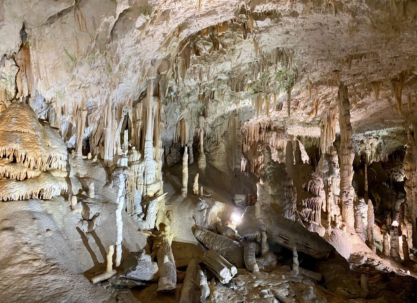 Fra Ljubljana: Postojna Cave Dagstur