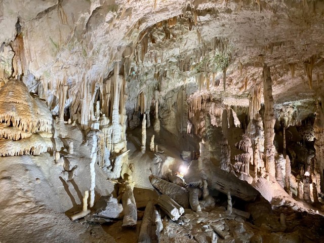 Visit From Ljubljana Postojna Cave Day Trip in Slovenia