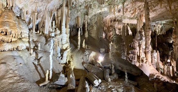 From Ljubljana: Postojna Cave Day Trip