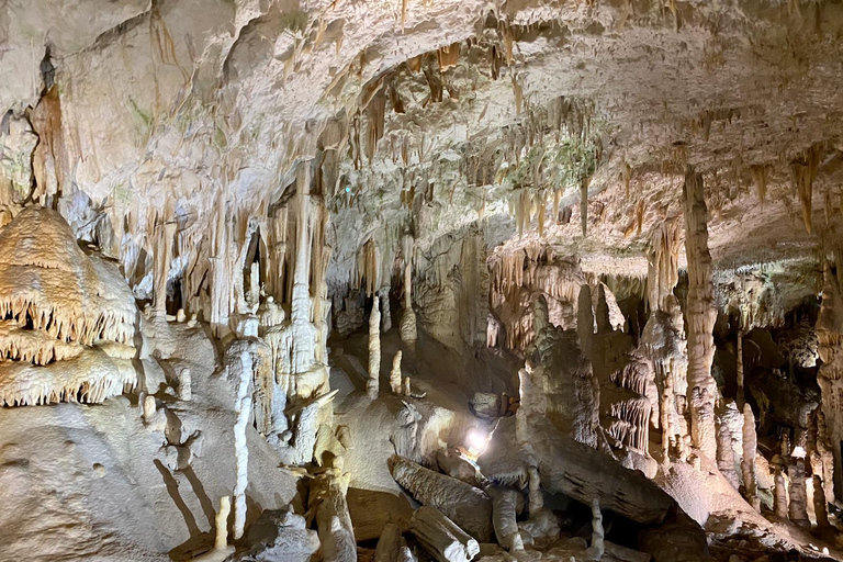 De Ljubljana: excursão de um dia à caverna de Postojna