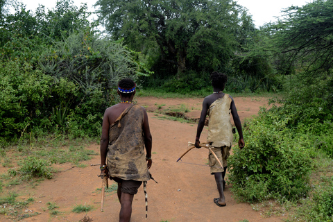 Tarangire-Nationalpark &amp; Eyasi-See (Datoga- &amp; Hadzabe-Dörfer)Premium Lodge im Tarangire-Nationalpark