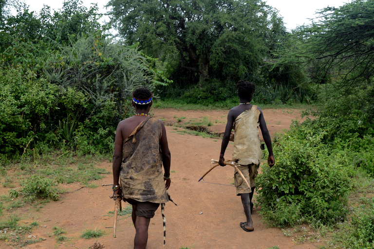 Tarangire-Nationalpark &amp; Eyasi-See (Datoga- &amp; Hadzabe-Dörfer)Premium Lodge im Tarangire-Nationalpark