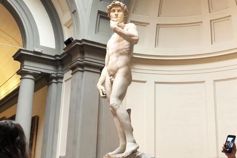 Florence: Accademia Gallery Semi-Private Tour