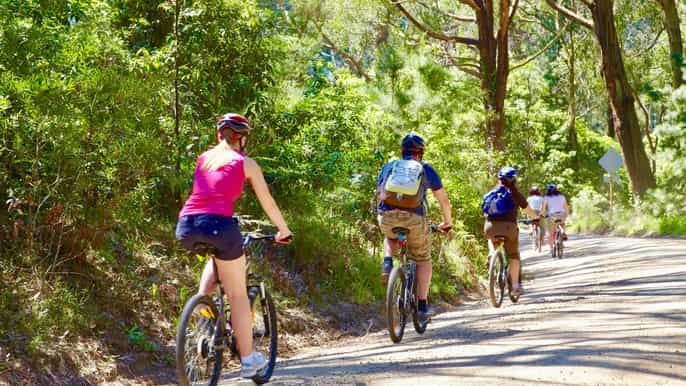 mornington peninsula guided local food wine cycling tour