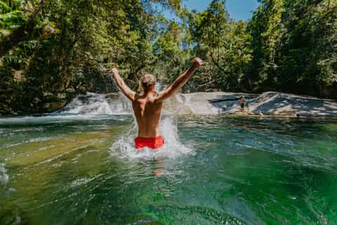 Waterfall, Wildlife and Rainforest Tour from Cairns