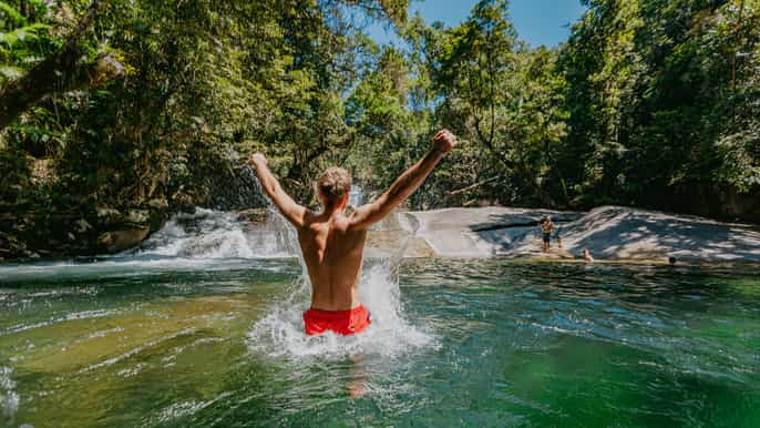 waterfall wildlife and rainforest tour from cairns