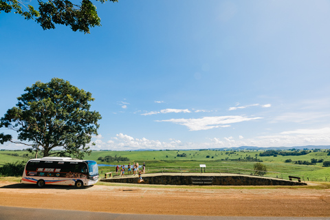 From Cairns: Atherton Tableland Wilderness Tour with Lunch