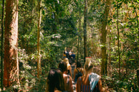Von Cairns, Atherton Tableland Wilderness Tour mit Mittagessen - Hizvo