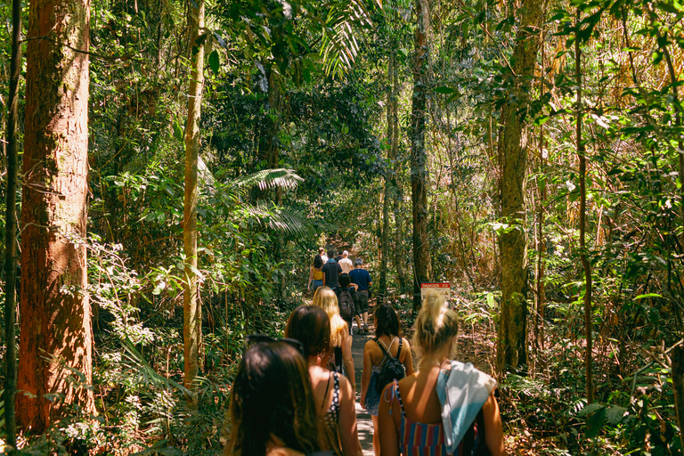 From Cairns: Atherton Tableland Wilderness Tour with Lunch