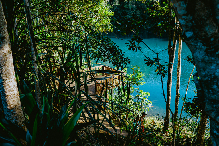 Tour en cascada, vida silvestre y selva tropical desde CairnsTour en grupo