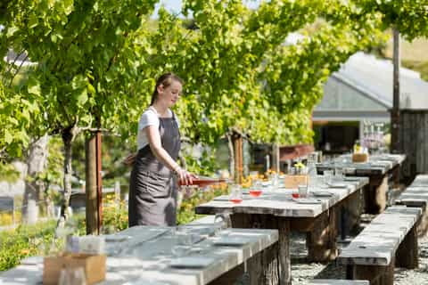 Auckland: Beach Horse Riding and Wine Tasting Tour