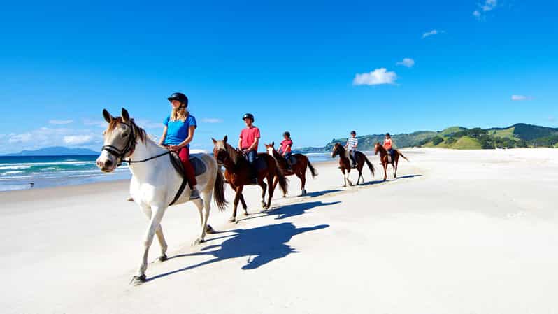 Auckland: Horse Riding and Wine Tasting Tour