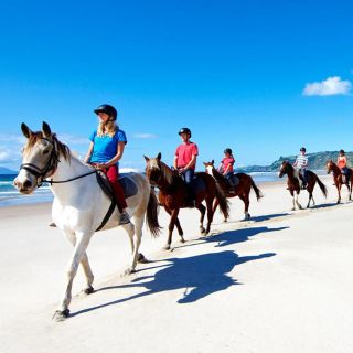 Auckland: Horse Riding and Wine Tasting Tour