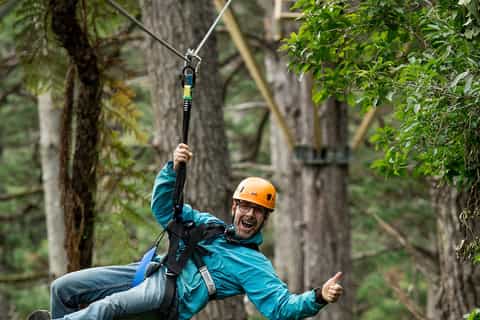coromandel adventurous 3hour zipline tour