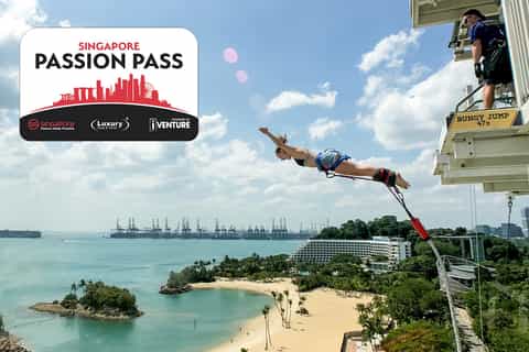 singapore flexi plus premium pass