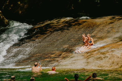 Depuis Cairns : jungle, cascades et faune sauvageExcursion en groupe