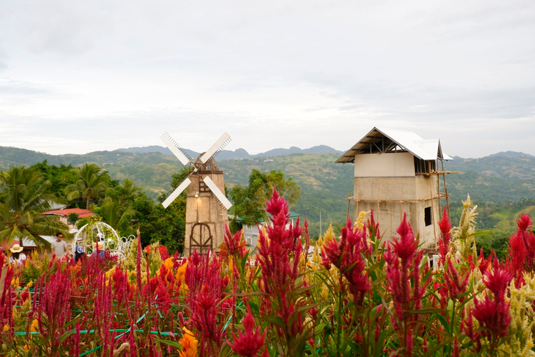 Cebu: Tour Panorâmico Privado com Jantar