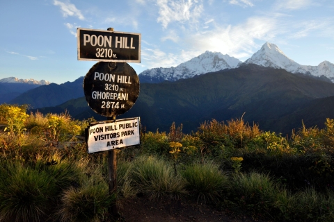 Depuis Pokhara: randonnée de 2 jours à Poon Hill