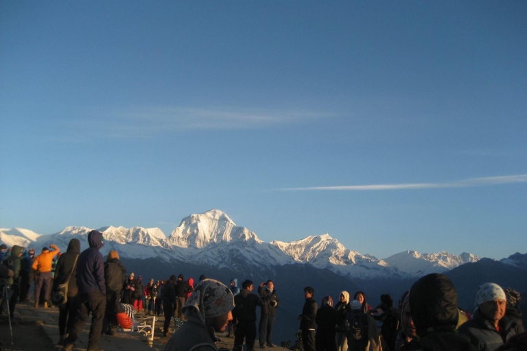 Depuis Pokhara: randonnée de 2 jours à Poon Hill