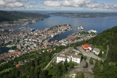 Bergen : excursion privée guidée à terre