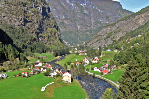 Fjords: Private Trip with Train and Cruise Ride