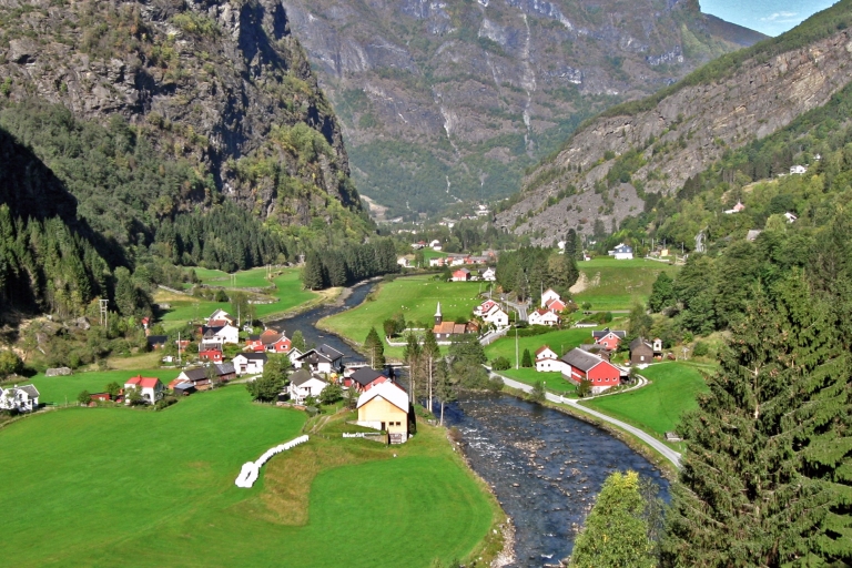 Fjords: Private Trip with Train and Cruise Ride