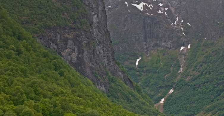 Fjords Private Trip with Train and Cruise Ride GetYourGuide