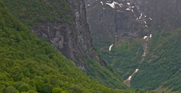 Fjords: Private Trip with Train and Cruise Ride