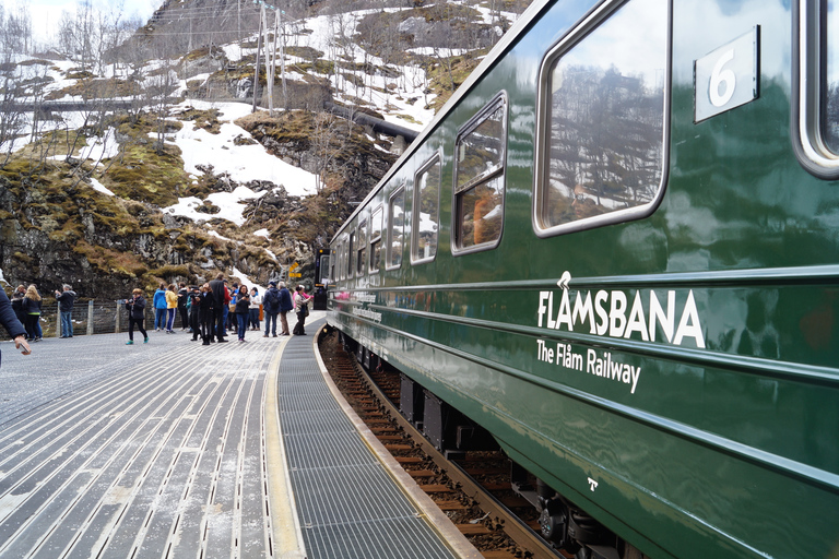 Fiordi: viaggio privato con treno e giro in crociera