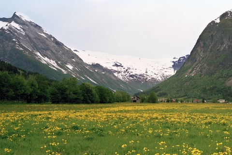 Fjords: Private Trip with Train and Cruise Ride
