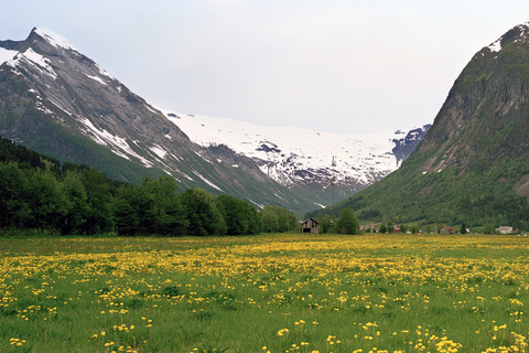 Fjordar: Privat resa med tåg- och kryssningsresa