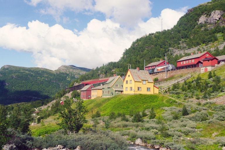 Depuis Bergen : excursion autoguidée dans le Sognefjord