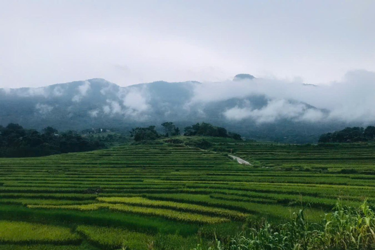 Hanoi: 3-Day Pu Luong, Ninh Binh Excursion & Guide, Homestay