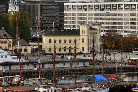 Oslo: privé sightseeingtour