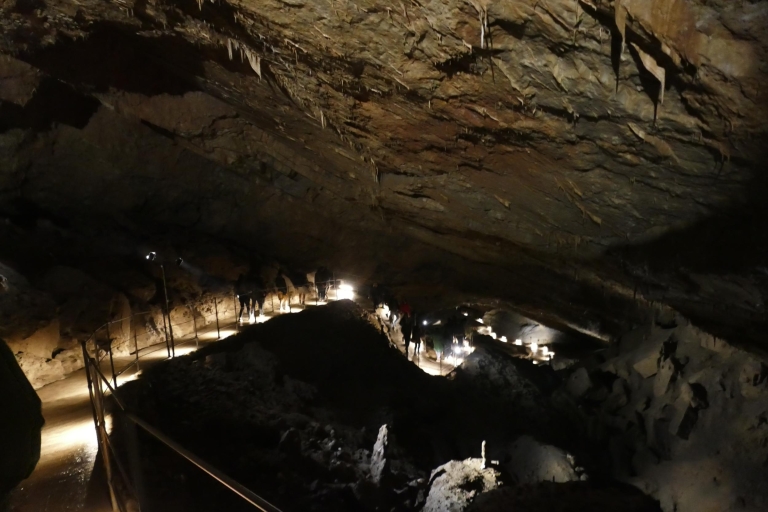 Van Ljubljana: Skočjan Caves Halve dagtripGedeelde Skočjan-grotten met kleine groepen van een halve dag
