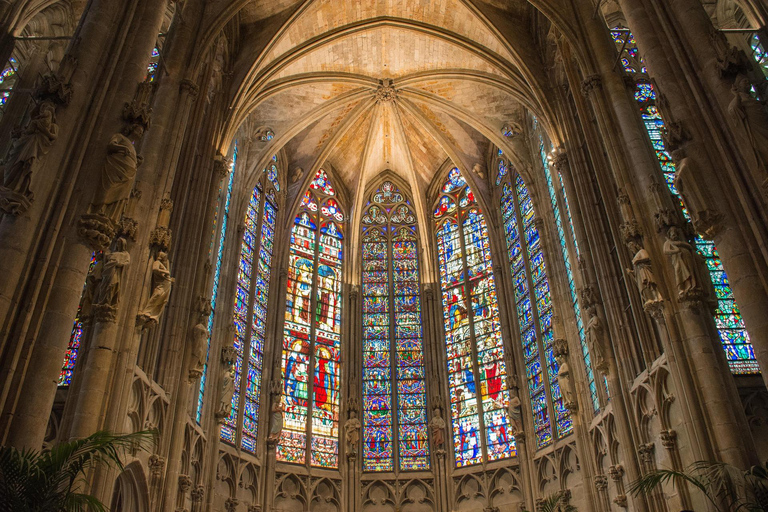 Carcassonne & Wine Getaway: Medieval Castle and Prestige Tasting Carcassonne & Wine Escape: Medieval Castle and Prestige Food Tasting