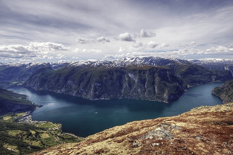 Oslo: 1-Day Tour to Flam with Flam Train & Naerofjord cruise