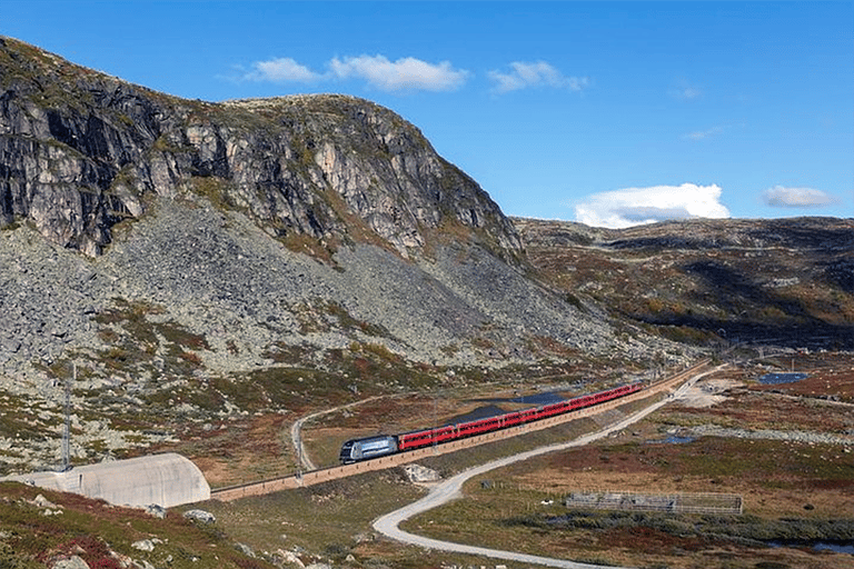 Oslo: 1-Day Tour to Flam with Flam Train & Naerofjord cruise