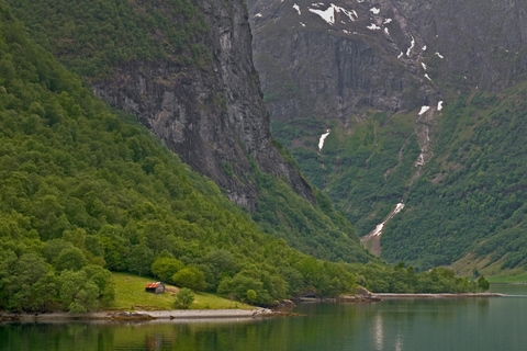 Oslo: 1-Day Tour to Flam with Flam Train & Naerofjord cruise