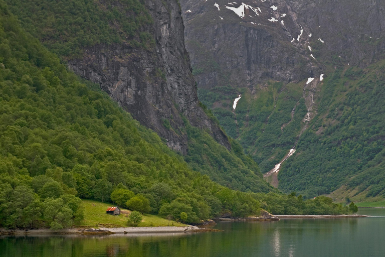 Oslo: 1-Day Tour to Flam with Flam Train & Naerofjord cruise