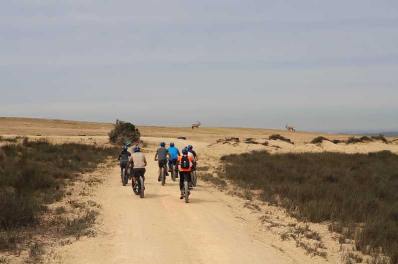 Cape Town: Guided e-Bike Safari Tour