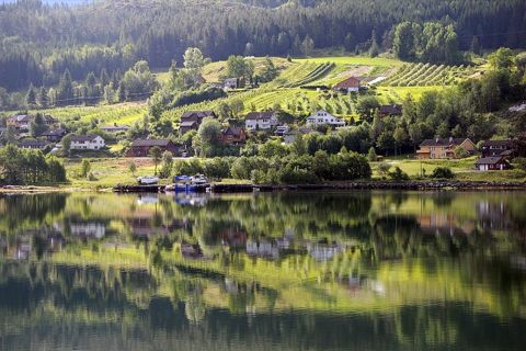 From Bergen: Hardangerfjord Self-Guided Day Trip