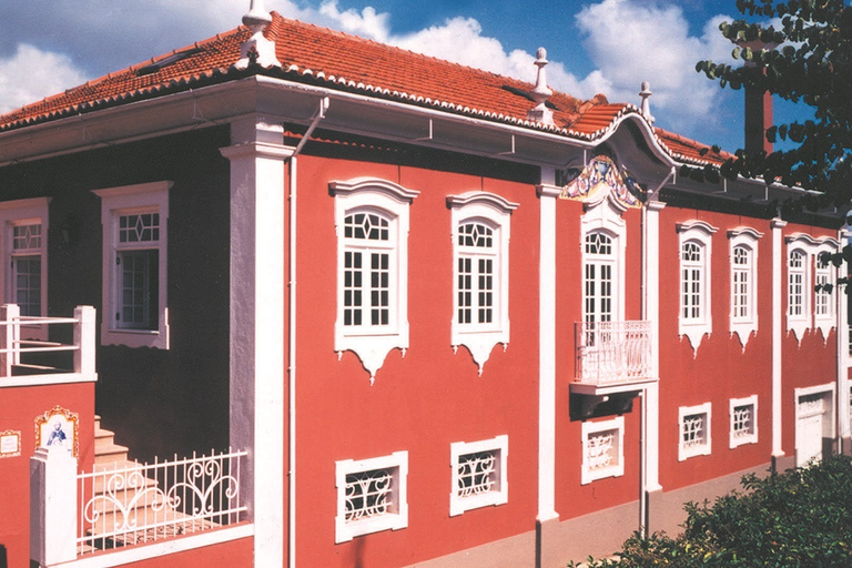 Portugal: Bairrada Private Tour