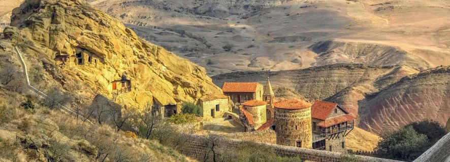 Da Tbilisi: Monastero di David Gareja e tour di Sighnaghi